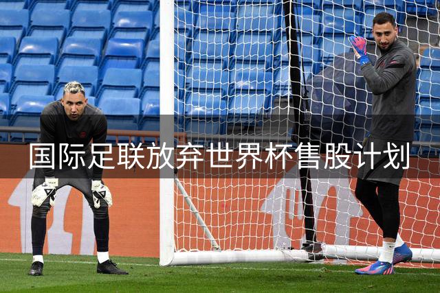 国际足联放弃世界杯售股计划