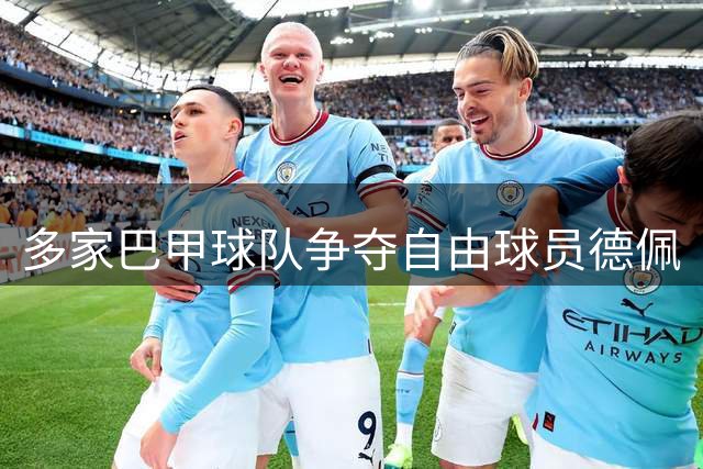 多家巴甲球队争夺自由球员德佩